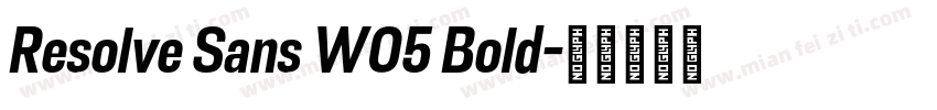Resolve Sans W05 Bold字体转换